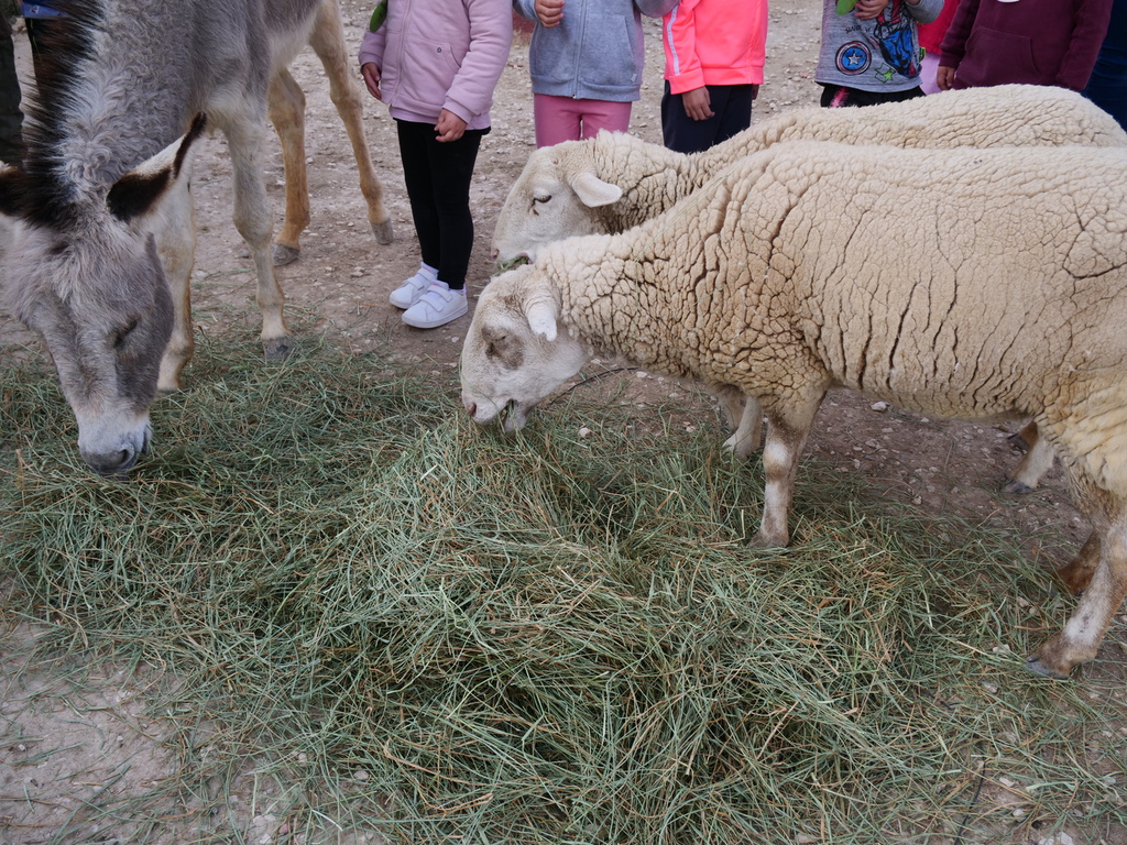 cache_2485441377.jfif