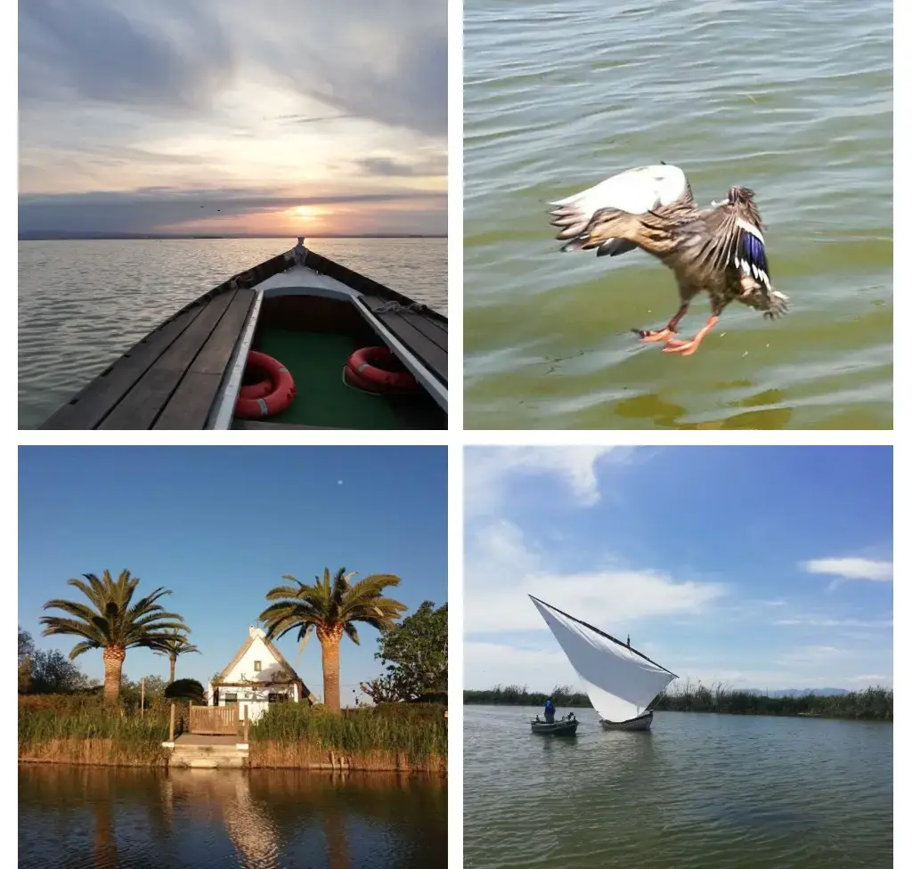 ALBUFERA + VISITA A BARRACA + JUEGOS