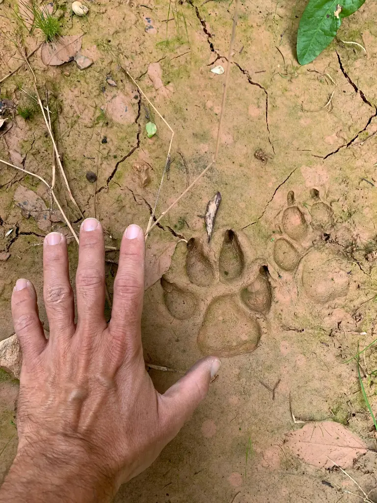 TALLER DE FAUNA Y BOTÁNICA