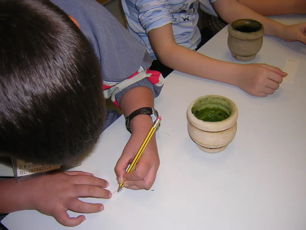 [GIKGO EDUCACIÓN] EL COLOR DE LAS HOJAS