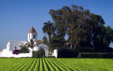LA VIDA EN EL MACHISTRE-RAÍCES VALENCIANAS