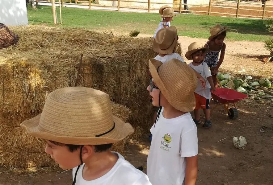 GRANJA ESCUELA LA VILLA JUNIOR 